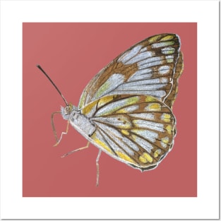 Color pencils hand-drawn butterfly Posters and Art